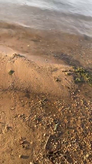 Калязинская затопленная церковь