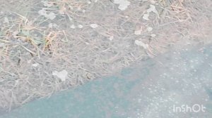 У нас ещё много снега. Пробежка по стадиону. Наши футболисты 🤾♂️⛹️♀️