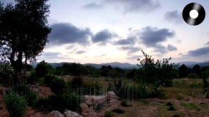 Жизненная песня ПОЗОВИ МЕНЯ Сильная женская песня о любви Для Души романтическаяпесня