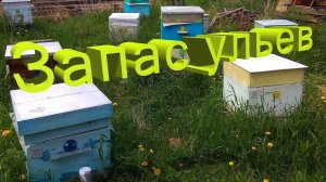 Сколько ульев нужно для работы на пасеке? Отвечает профессор Кашковский 🐝