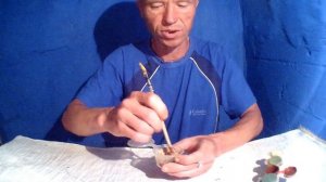 КАК ПОКРАСИТЬ ОПАРЫША В ЛЮБОЙ ЦВЕТ! ОТЛИЧНАЯ НАЖИВКА ДЛЯ РЫБАЛКИ