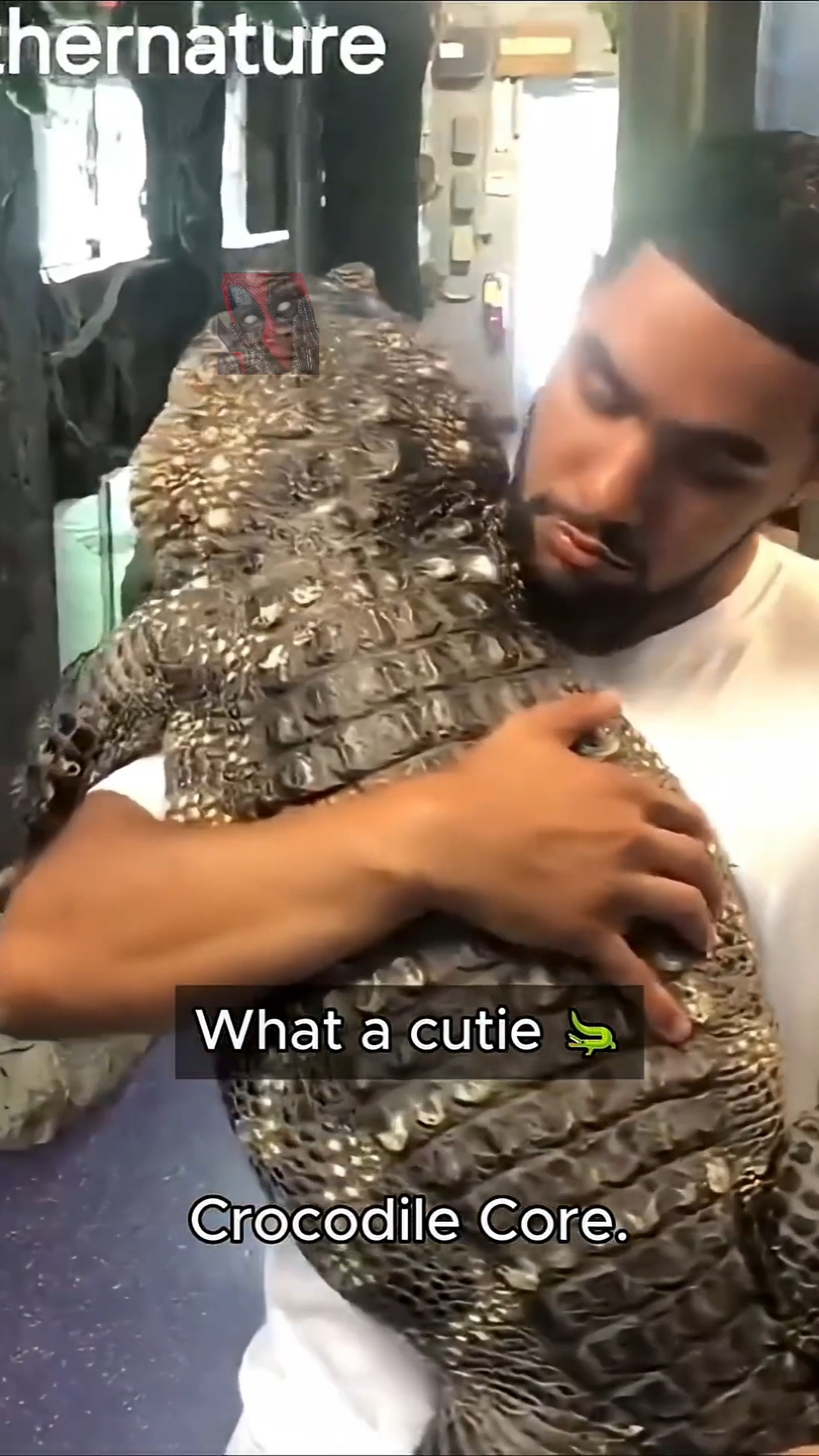 Кто на свете всех милее 🤯🫶🙀