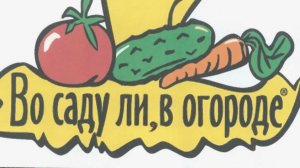 Наши растишки💥 как правильно? 💥 Интернет в помощь😊