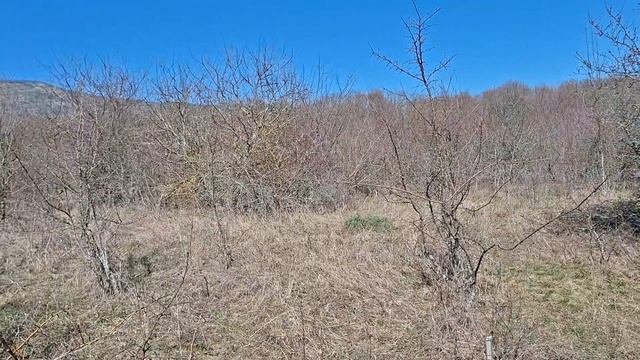 участок в Старом Крыму, 