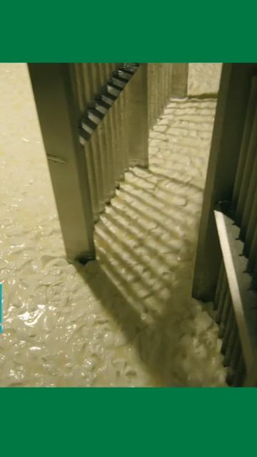 Сыроизготовитель