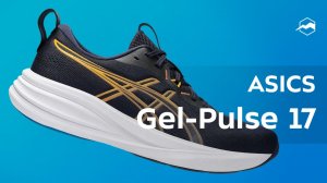 ASICS Gel-Pulse 17