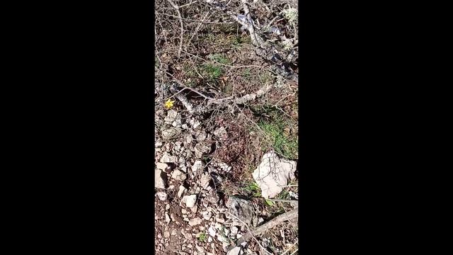 2 марта Затерянный мир г. Челяби. 1 часть.