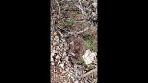 2 марта Затерянный мир г. Челяби. 1 часть.