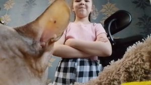 знакомимся с моей кошкой и собакой Лехи моего брата родного ис лени и лисой