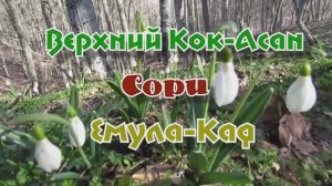 Верхний Кок-Асан... Сори... Емула-Кая... 14.03.2026