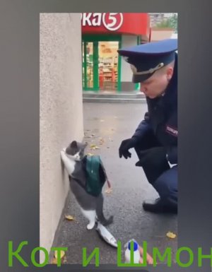 Животные прославившиеся в дуэте