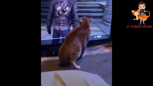 Посмеёмся вместе))