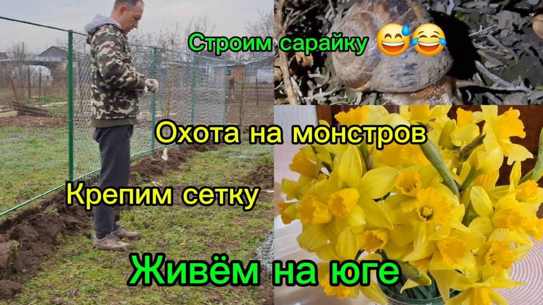 30-03-2026 Жизнь на юг/Мечты сбываются/Охота ночью/Сетку крепим/Делаем сарайку //Работа на участке//