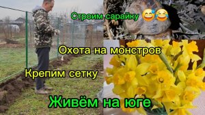 30-03-2026 Жизнь на юг/Мечты сбываются/Охота ночью/Сетку крепим/Делаем сарайку //Работа на участке//