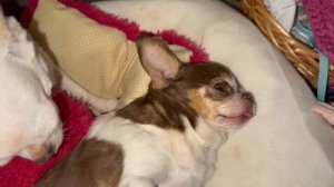 Доброго всем вечера и самой спокойной ночи!