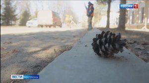 Месячник по санитарной уборке в Костроме начался раньше обычного