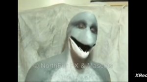 кто такой человек дельфин 🐬