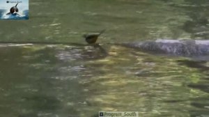 Краснодарский рай