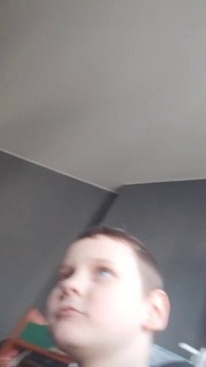 где снять прятки