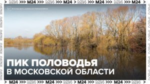 В Московской области объявлен оранжевый уровень опасности из-за половодья - Москва 24