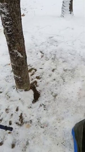 Очень интересный цвет предпочел наш клиент