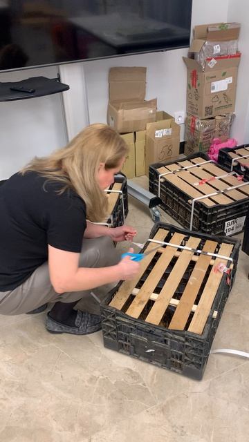 Обзор гортензии метельчатой Немецкая селекция Vanilla Fraise Dentelle De Garron Lime Light Metallika