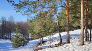 Деньги в долг