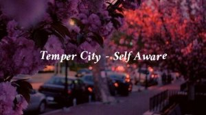 🌸Temper City - Self Aware🌸