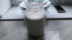 Курам физзарядка. Топленое масло. Первые всходы.