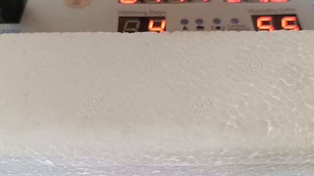 Автоматический инкубатор Smart Home (модель FK 474904-10) — 180 яйц