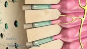 Рекламные блоки и анонсы (СТС, 31.03.2013) наоборот