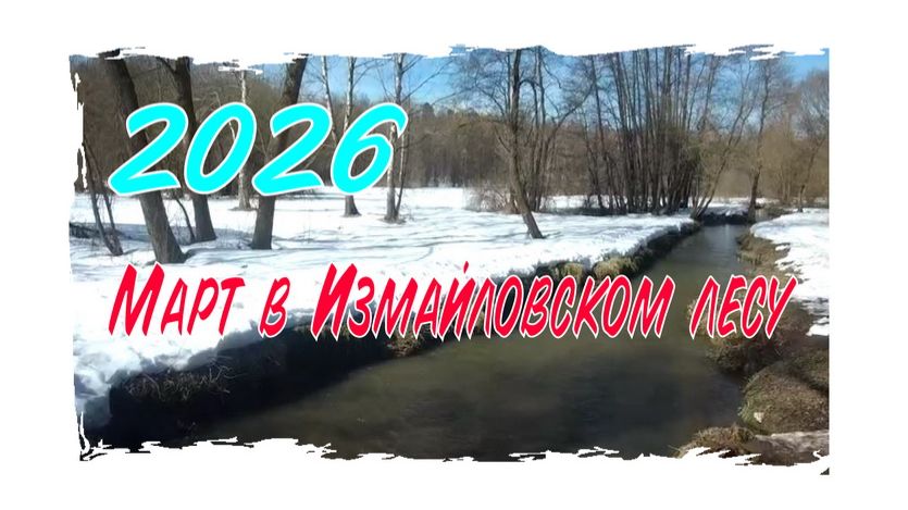 Новые тайны Измайловского леса! Что скрыли сугробы? Сломали домик на Красном пруду. Бедные моржи!