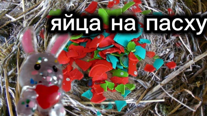 заяц принëс не те яйца