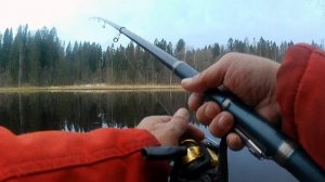 Конец марта.Наша речка.