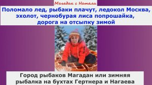 Поломало лед,рыбаки плачут,ледокол,эхолот,чернобурая лиса попрошайка,дорога на отсыпку.Город рыбаков
