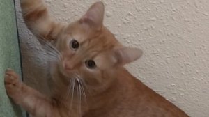 Говорят, время лечит…