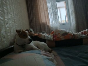правда или действие?