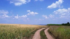 Рэй Брэдбери Другая дорога