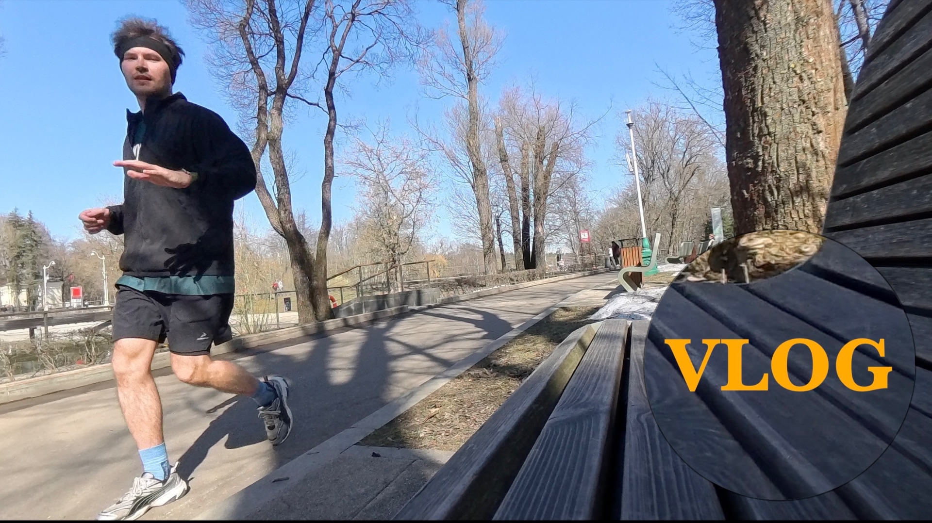 Метабруни утром - 4K