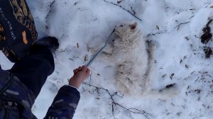 жалко мне очень.