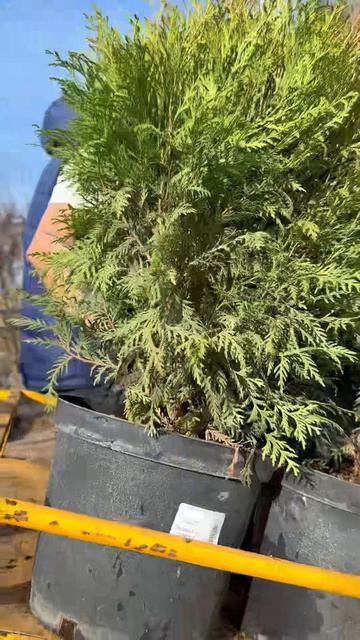 Готовимся к открытию