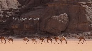 Жить просто так - «Доктор Бум»