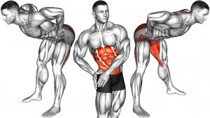 Утренняя разминка стоя