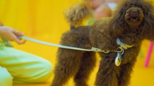 Настя и папа проводят выходной и веселятся вместе