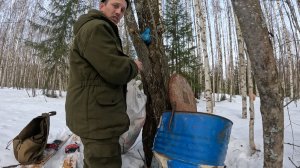 БИОТЕХНИЯ! Привада на МЕДВЕДЯ!