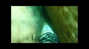 Горбыль черноморский