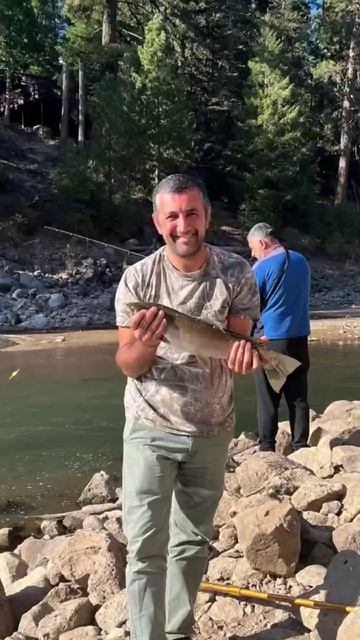 ������� �������