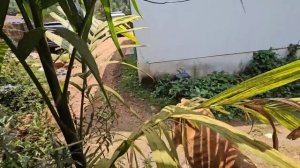 Надо ли подставлять левую щёку, если ударили по правой_ Муж провинился_ Дарит подарки...