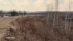 Губернатор Приморья контролирует готовность муниципалитетов к половодью.