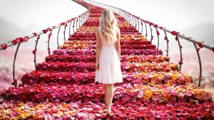 Какую лестницу выберешь? ДЕТСКИЕ МУЛЬТИКИ | МУЛЬТИКИ ДЛЯ ДЕТЕЙ | ЯРКИЕ МУЛЬТИКИ ДЛЯ РЕБЕНКА!